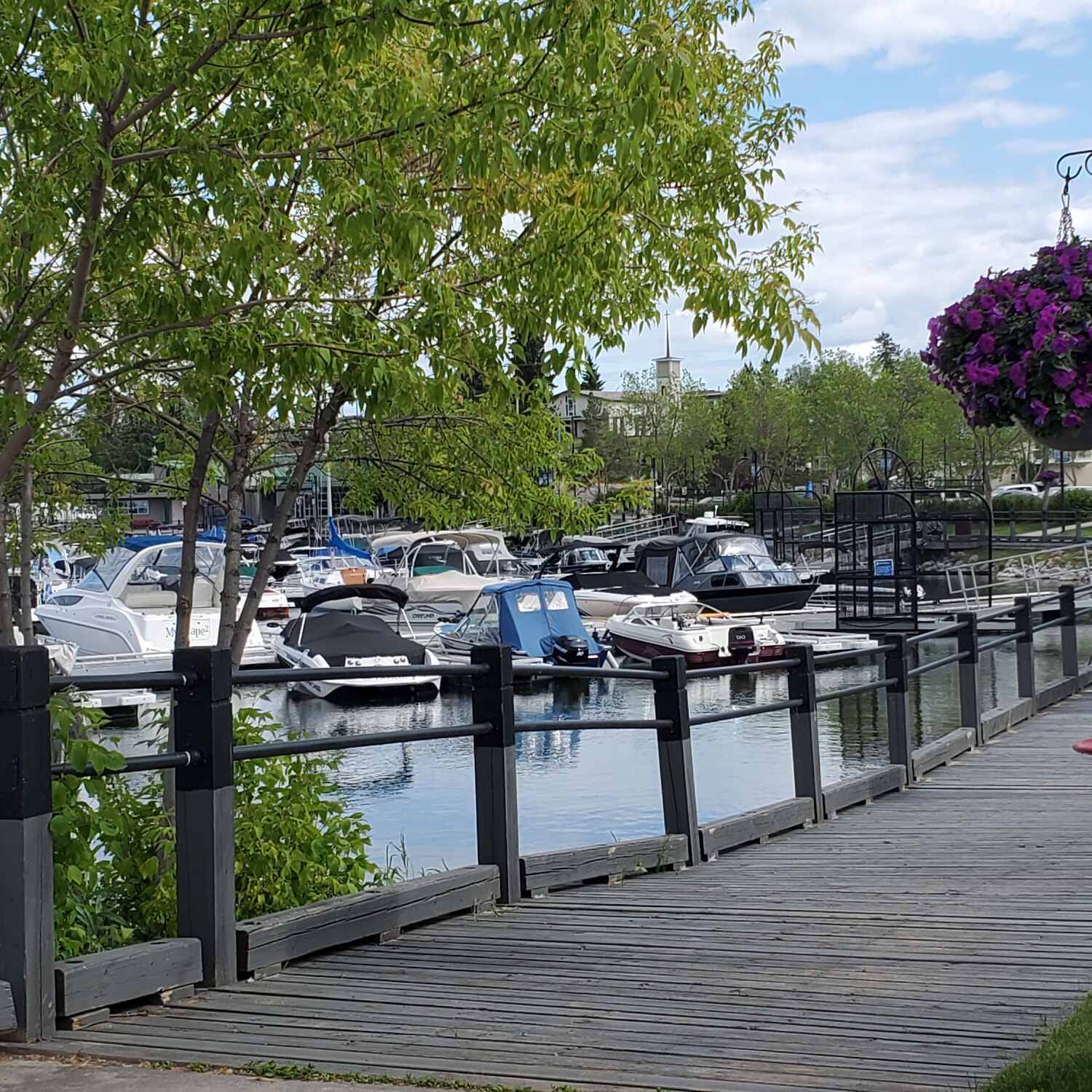 Pierceland-Quest for Cousins