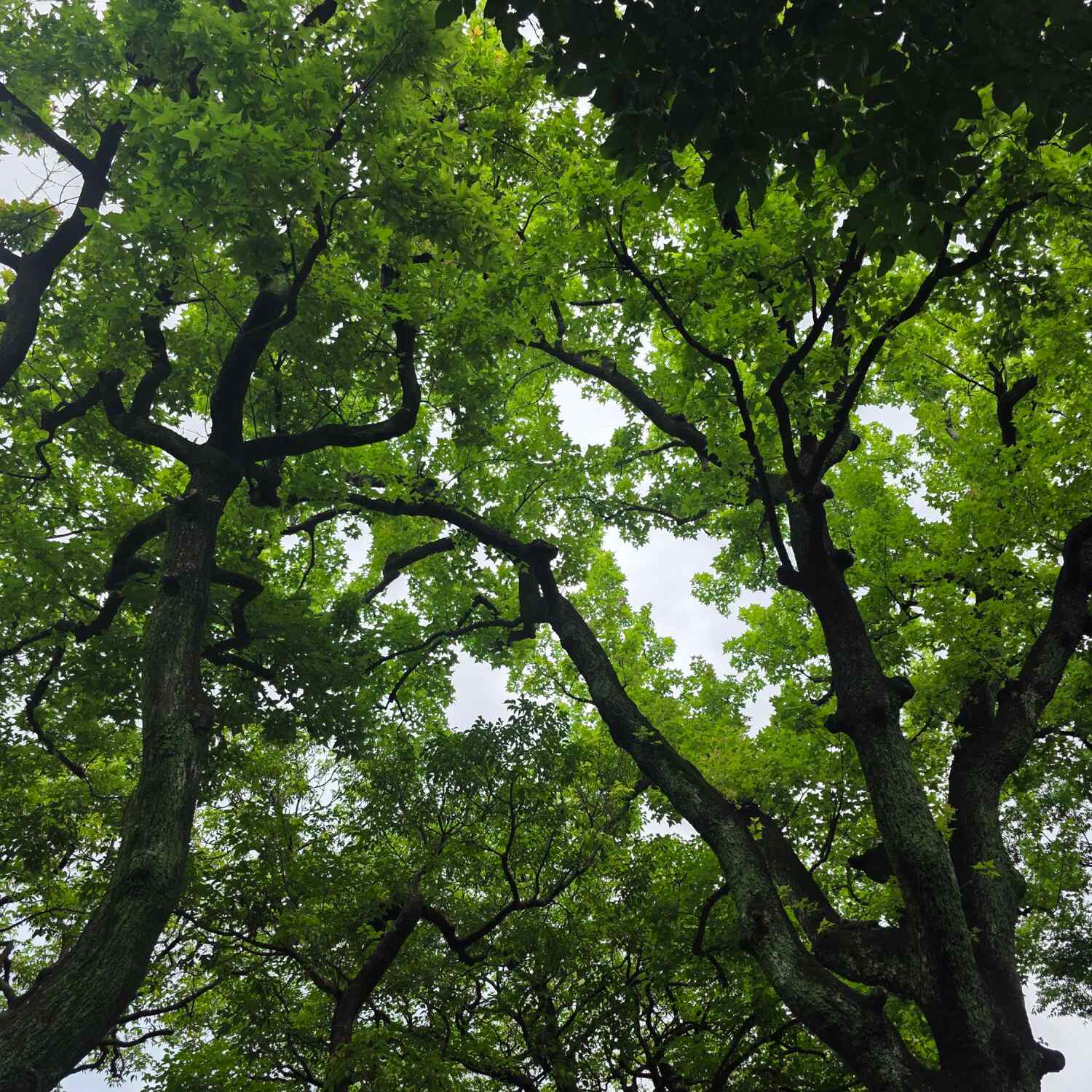 Taiwan - Kinmen