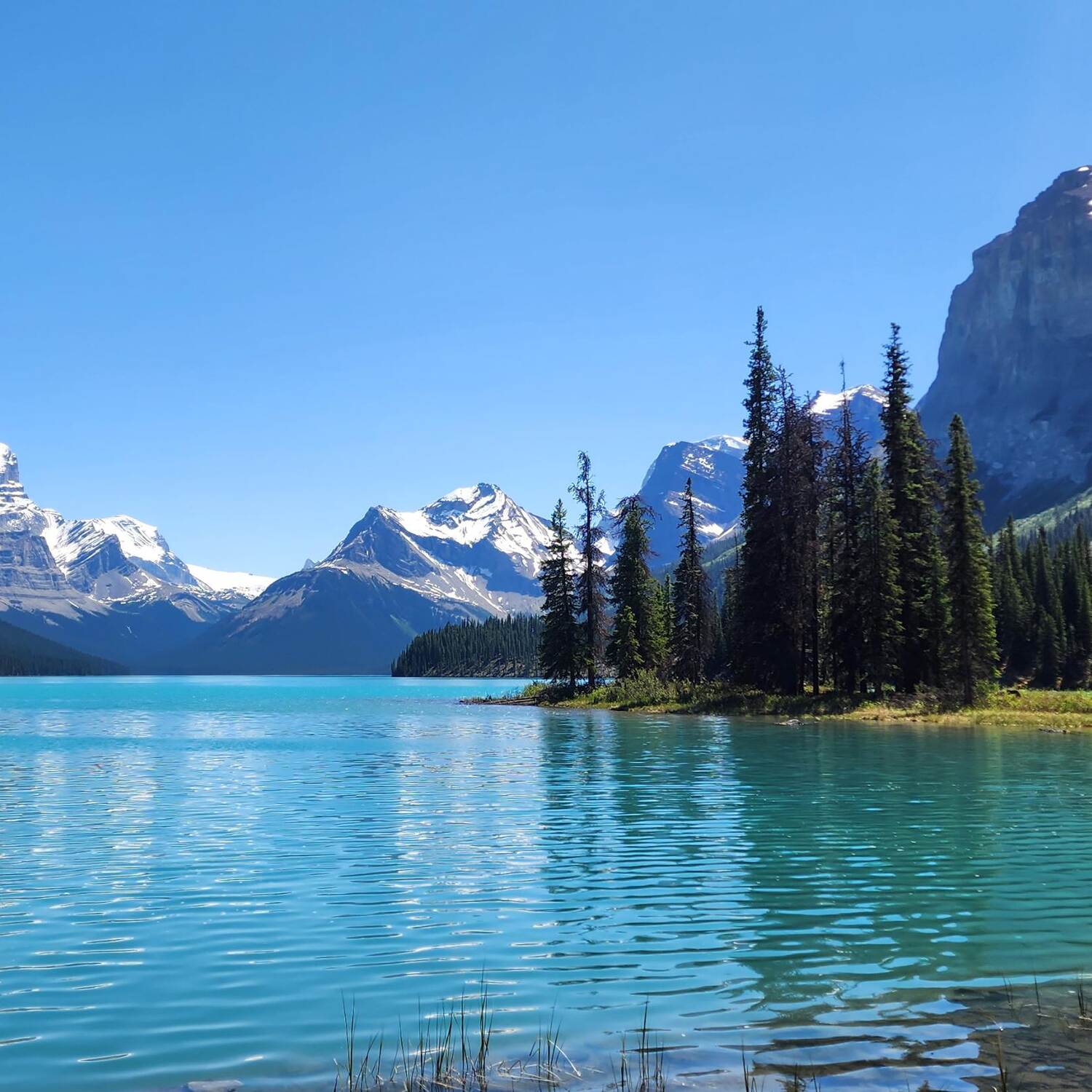 Canadian Rockies