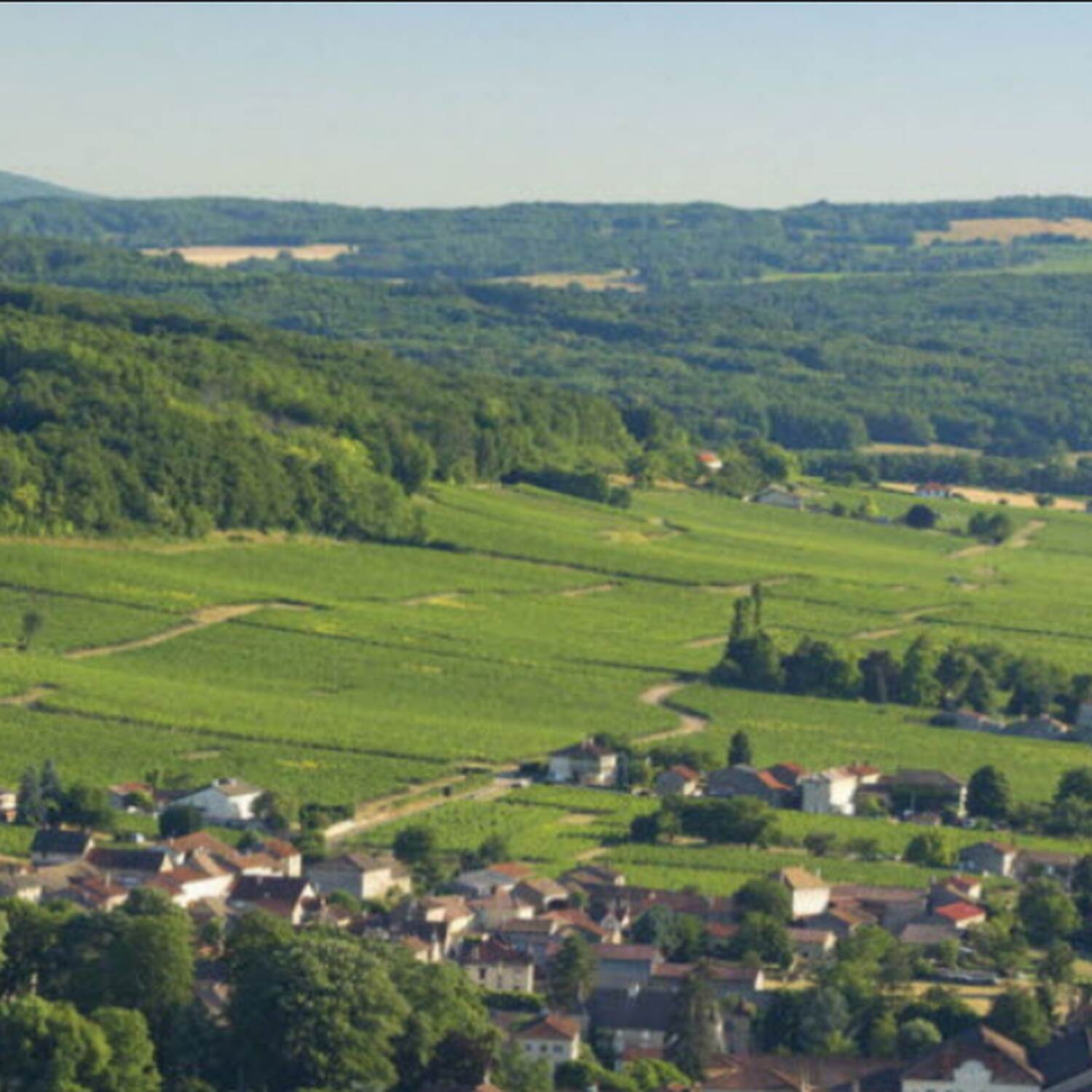 La Cyclo Sud Bourgogne