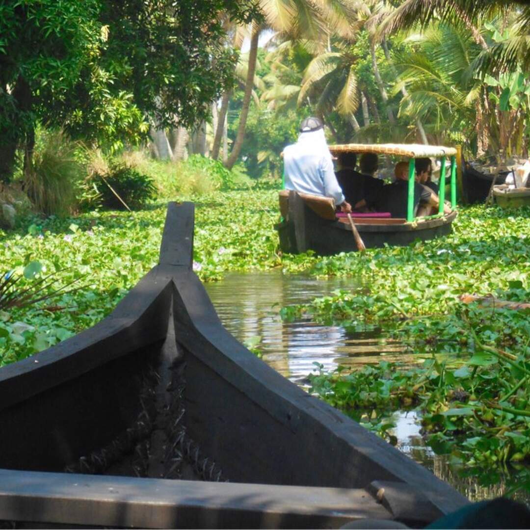 Kerala - Indien 5.2.-1.3.2020