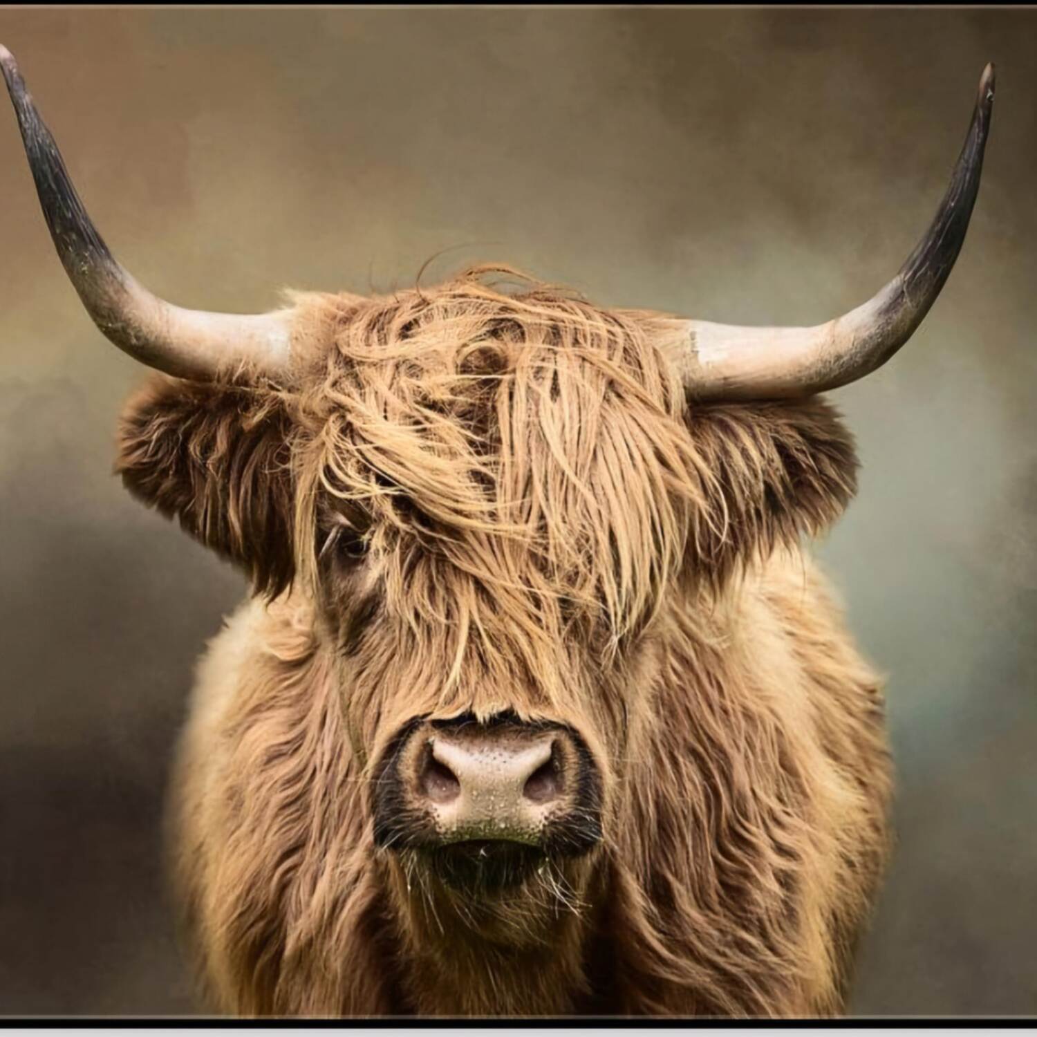 Schottland Frühling 2025