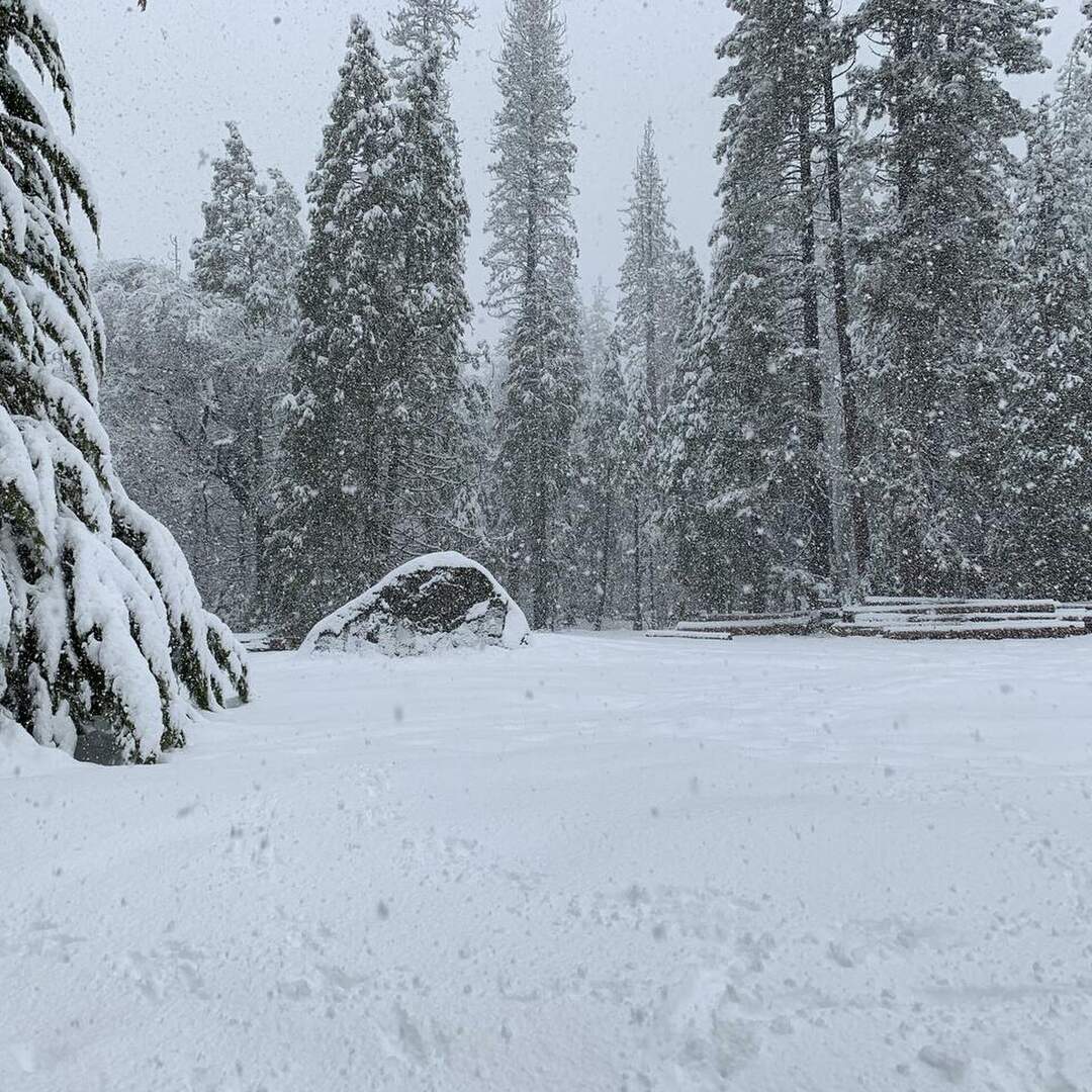 2019 Yosemite - Group 2 Crew