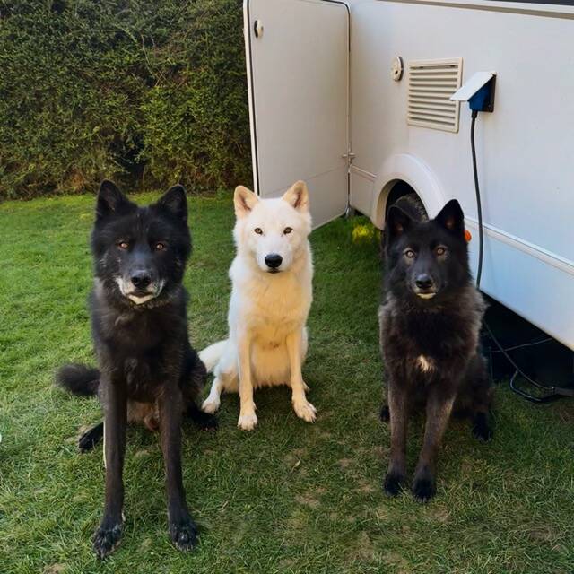 Meg,Kato,Nymeria,Miyaku