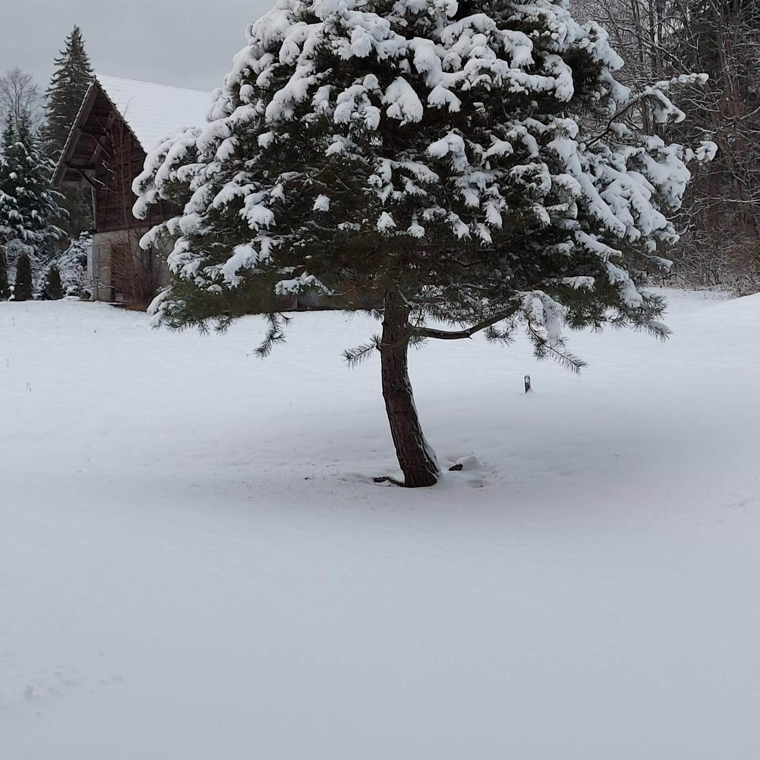 Weihnachtsmarkt in Thun