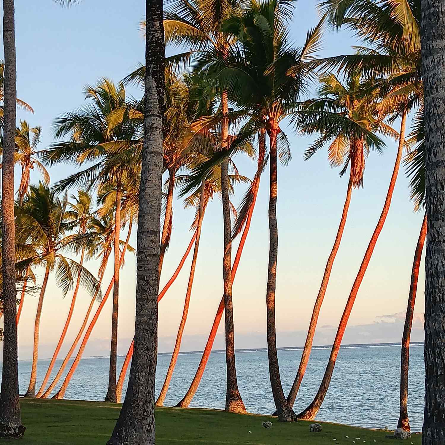 Fiji