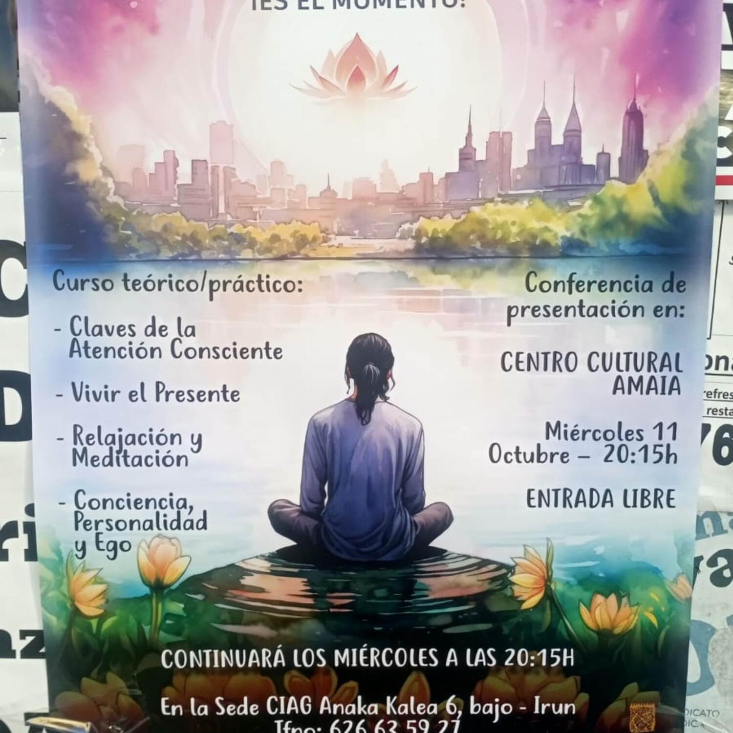 Nunca Caminosólo Irun Santiago