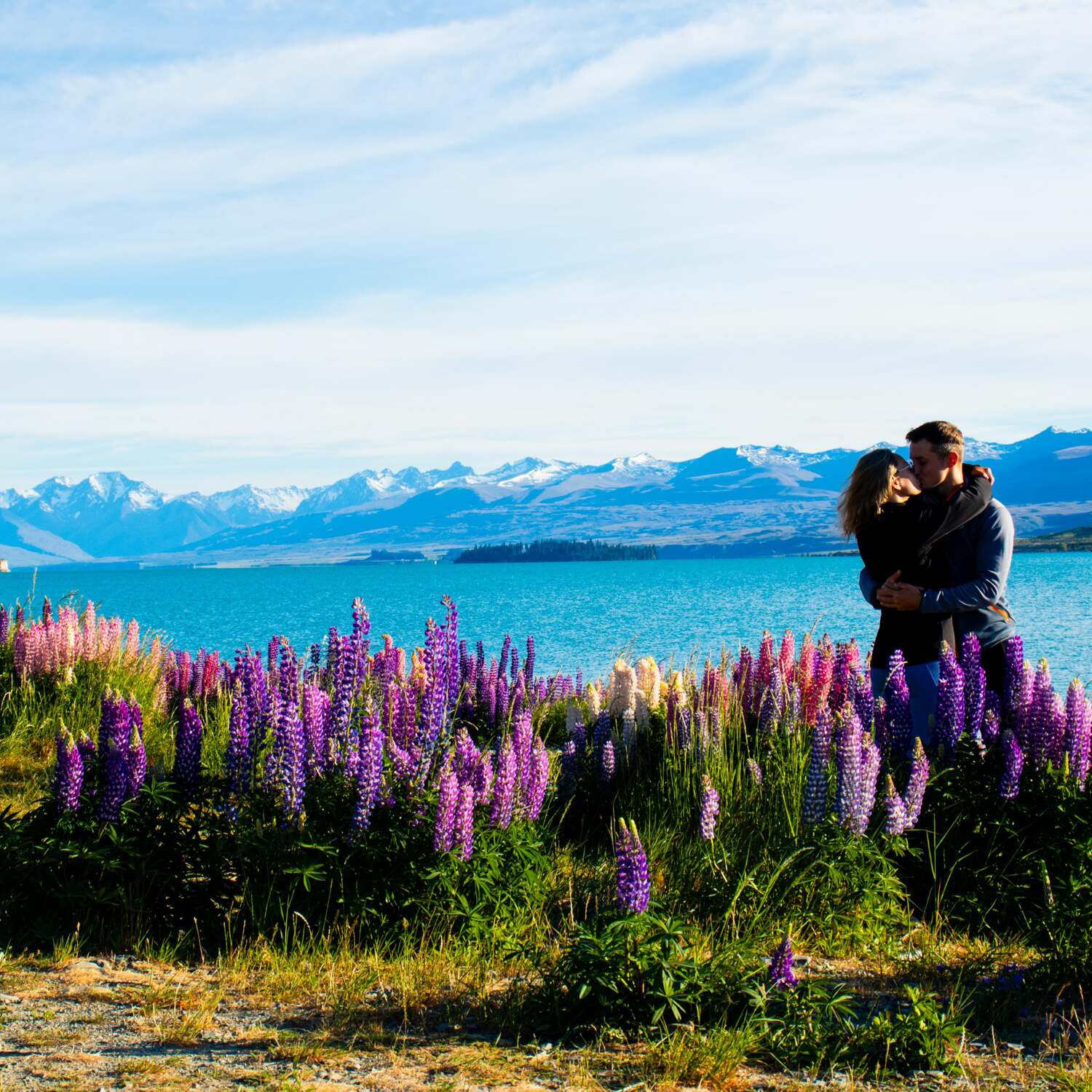 Road trip New Zealand