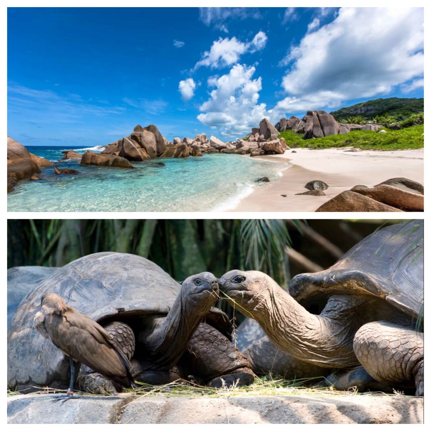 Seychellen 2024