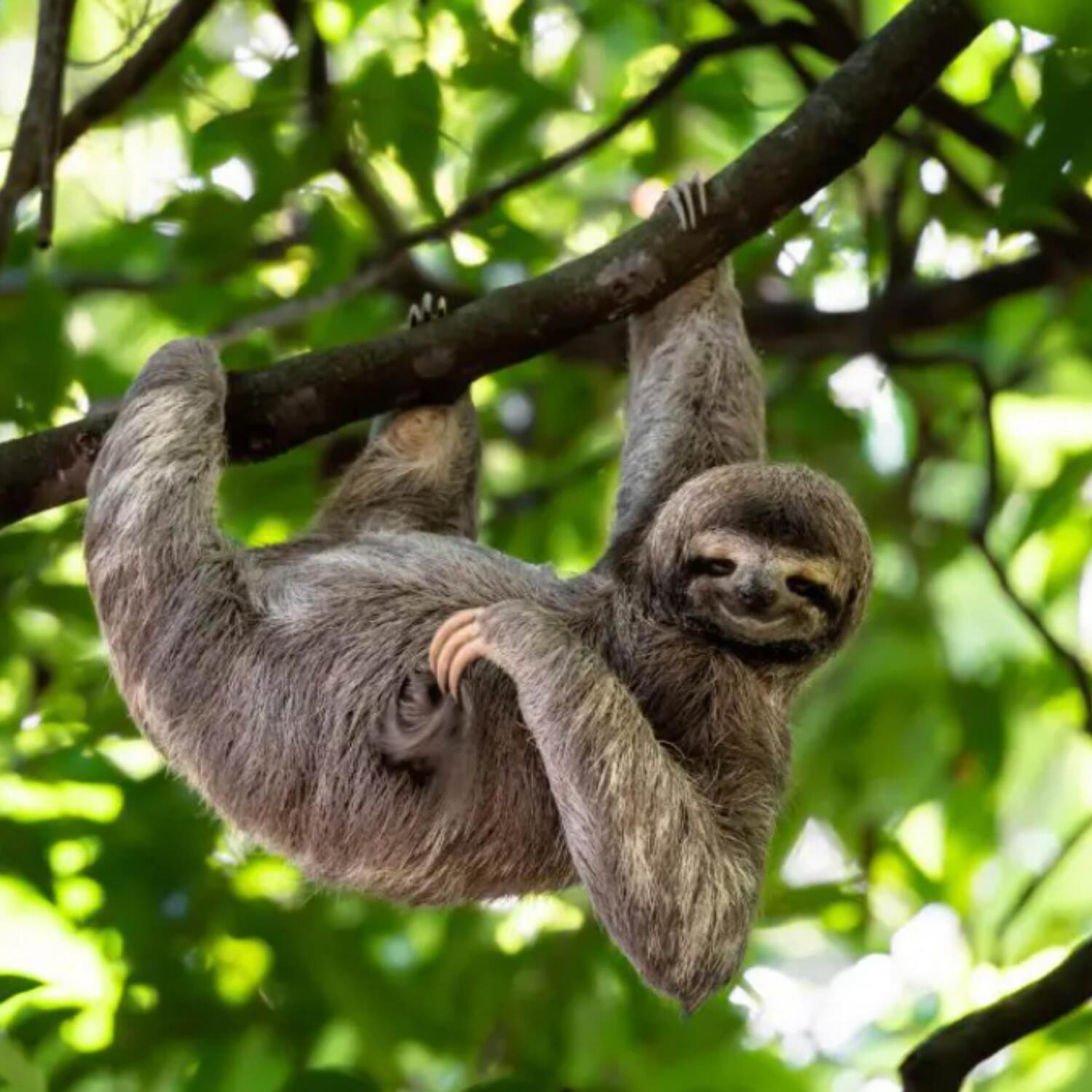 Costa Rica