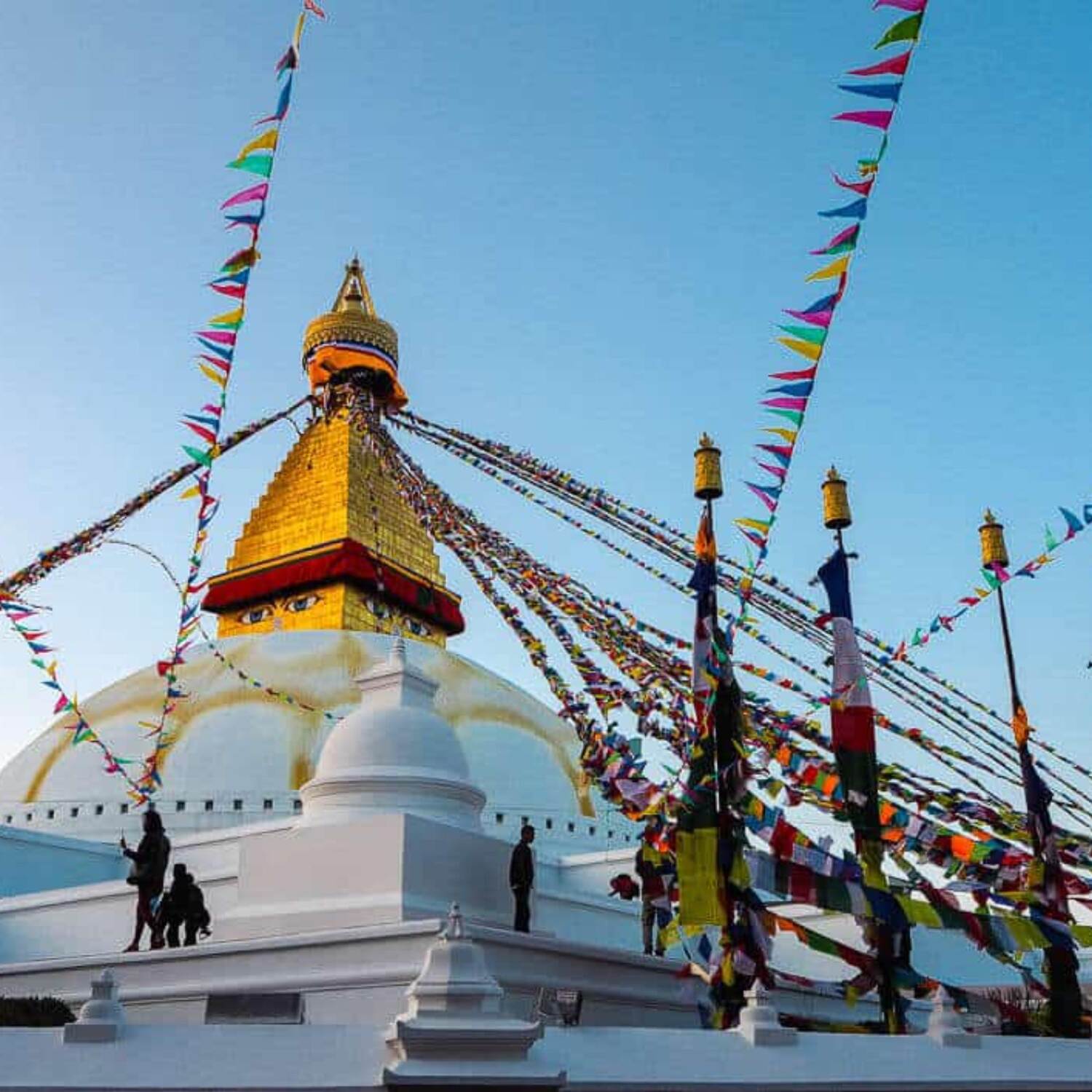 Bouddha trip
