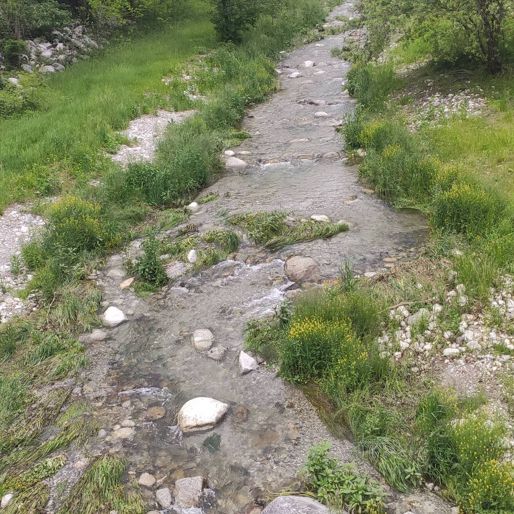 Rund um die Dolomiten 🏔️