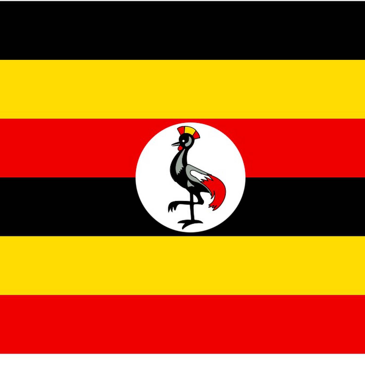 Uganda 🦍💨