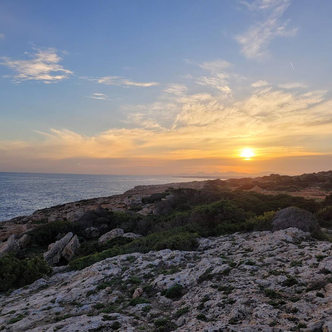 Kurztrip nach Mallorca