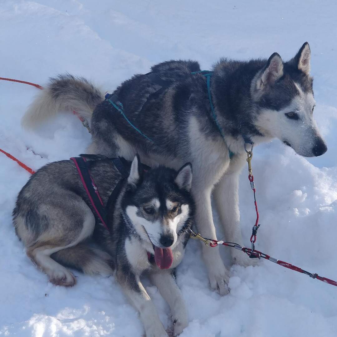 Lapland