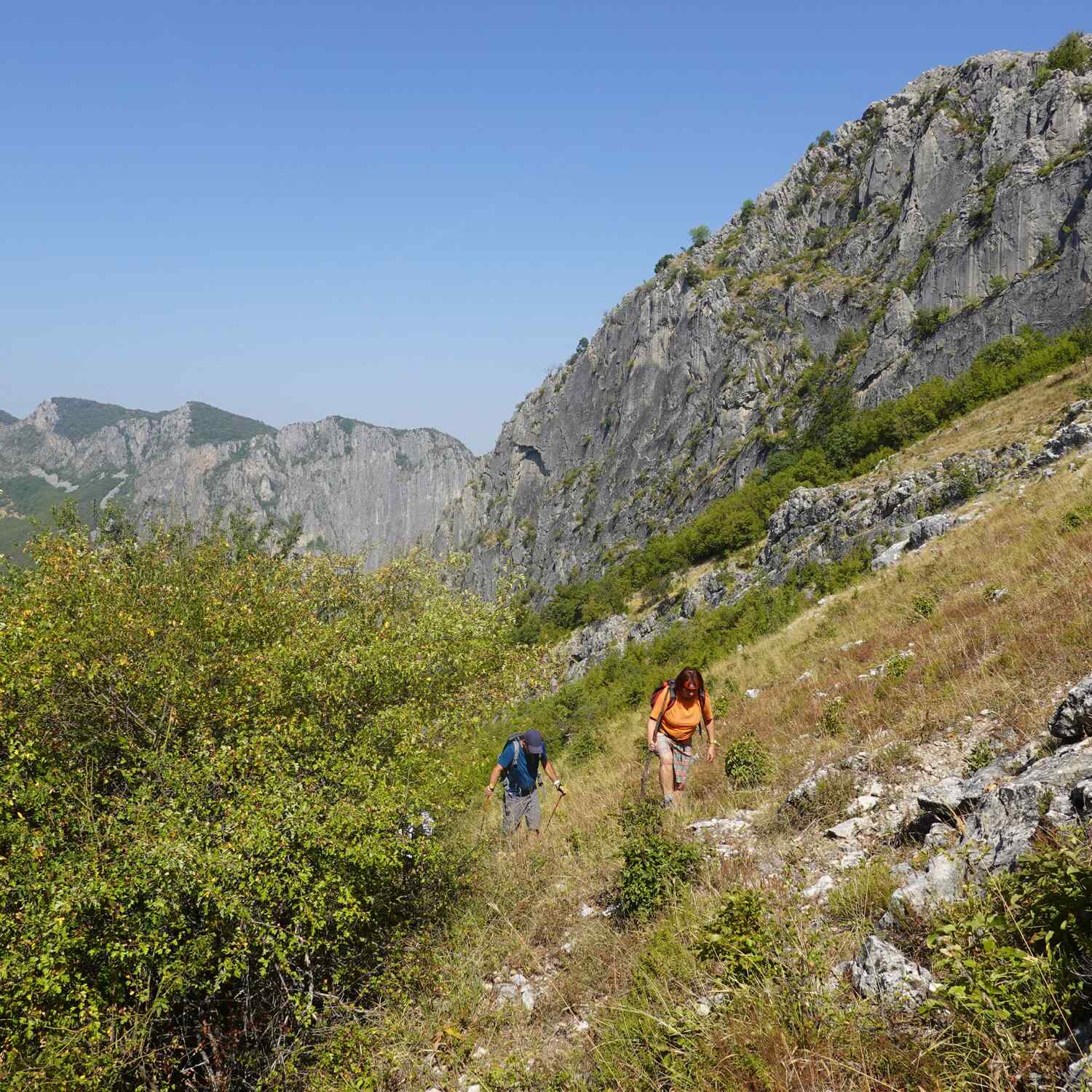 Sommer im Balkangebirge