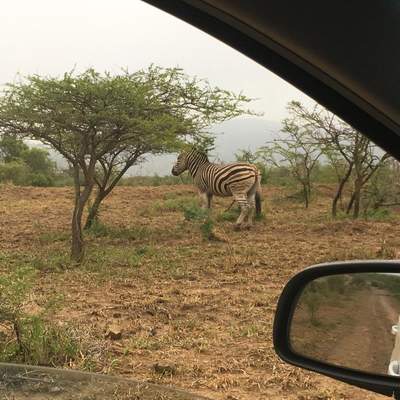 Dad's 80th in South Africa