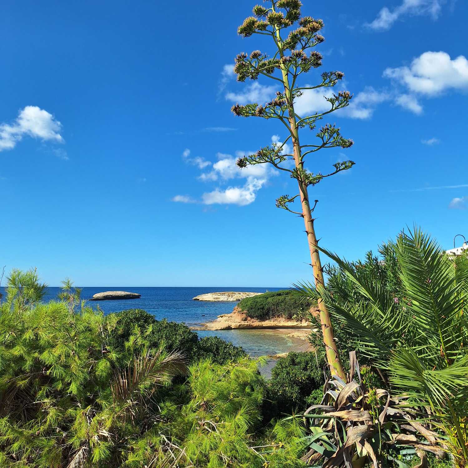 Herbsturlaub in Sardinien