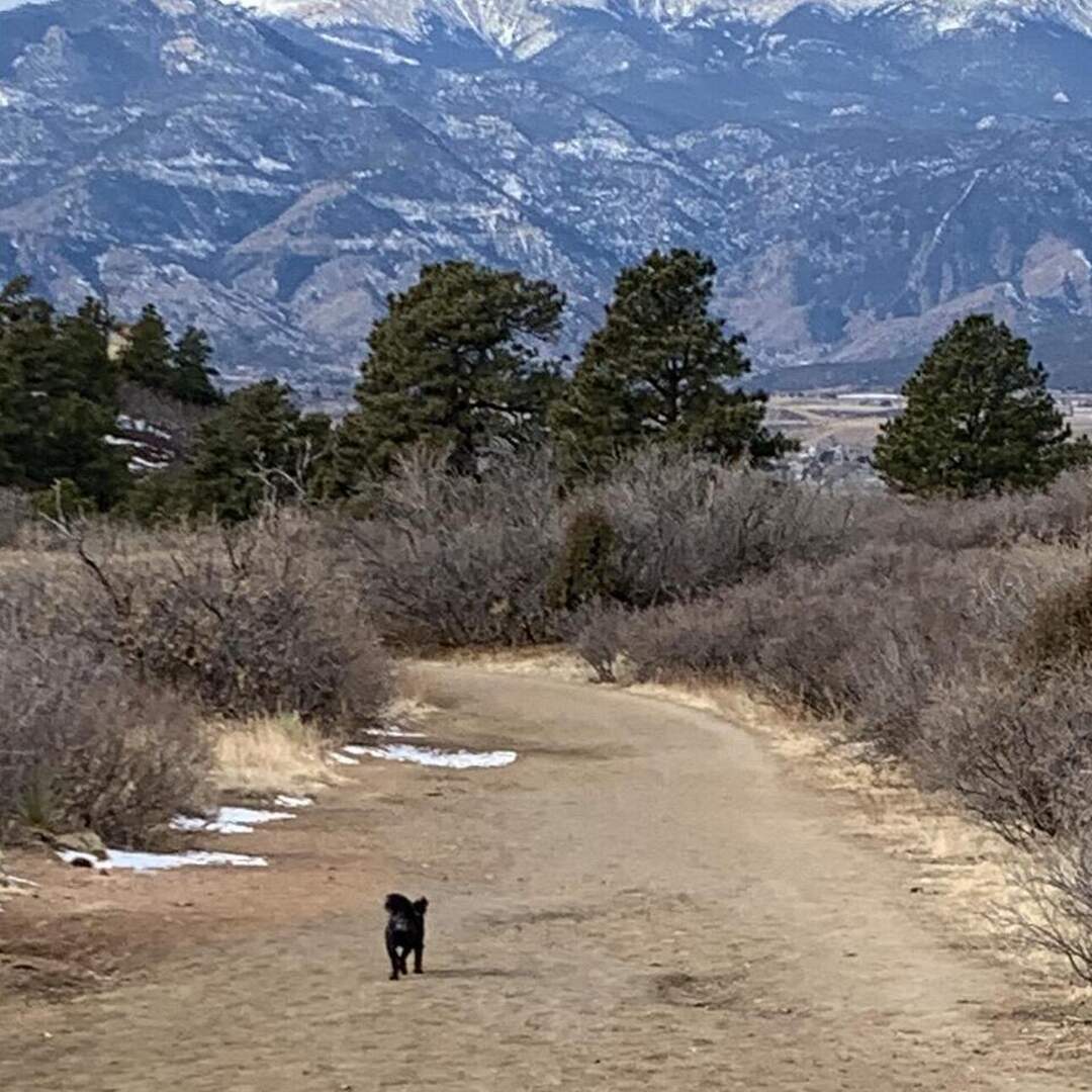 Palmer Park Colorado Springs