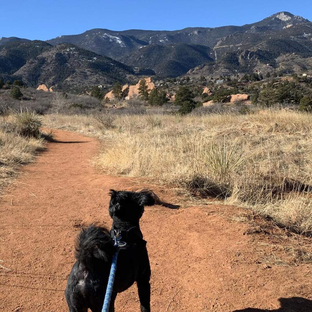 Red Rock Canyon Open Space