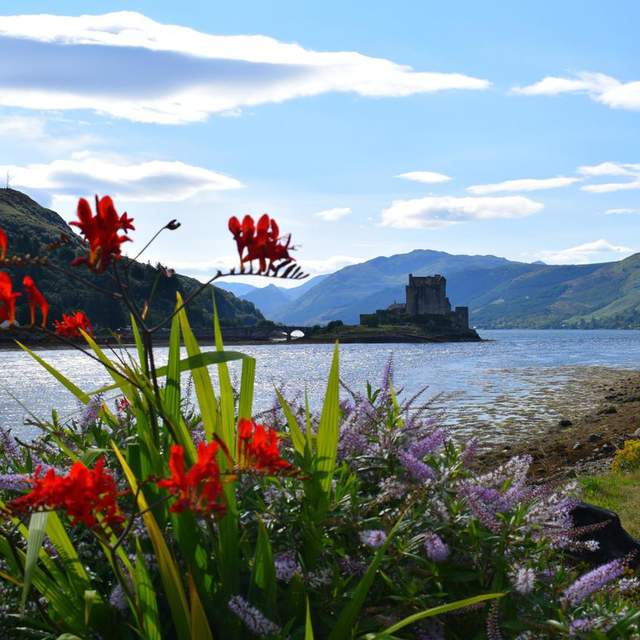 Schottland 18