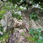 Angelika Buchwardt-Jaeger