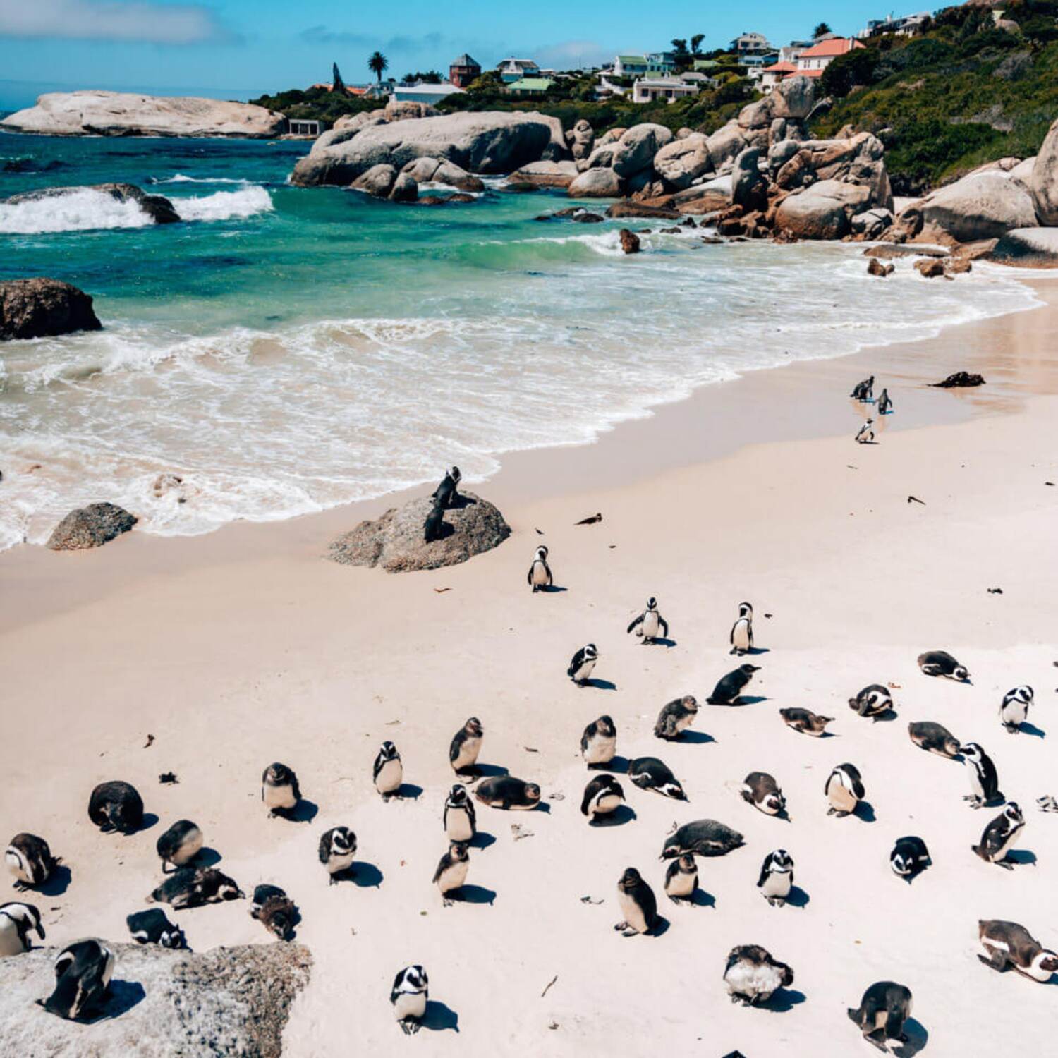 Highlights of Southern Africa