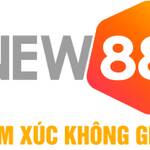 Nhà Cái New88