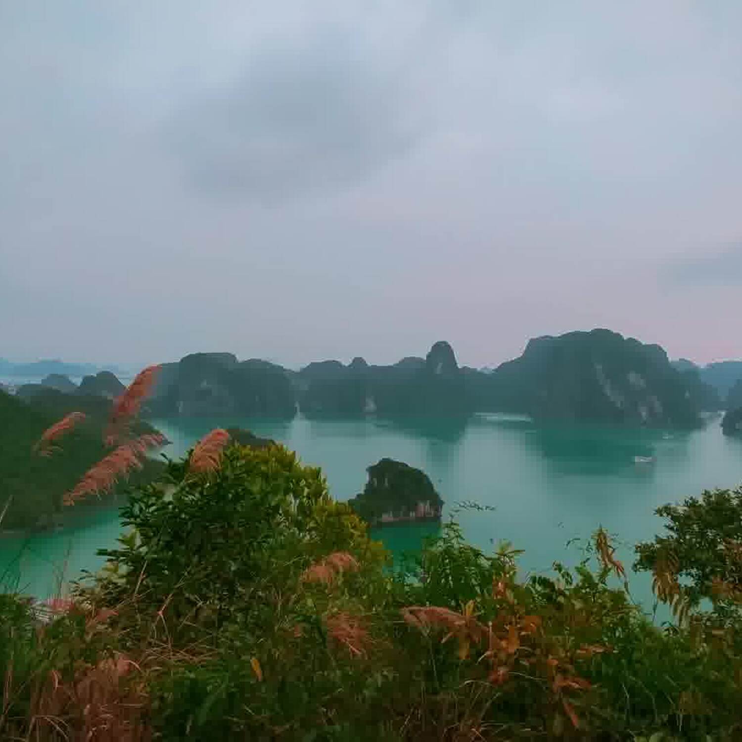 Vietnam 2024
