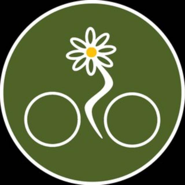 Bummelradler