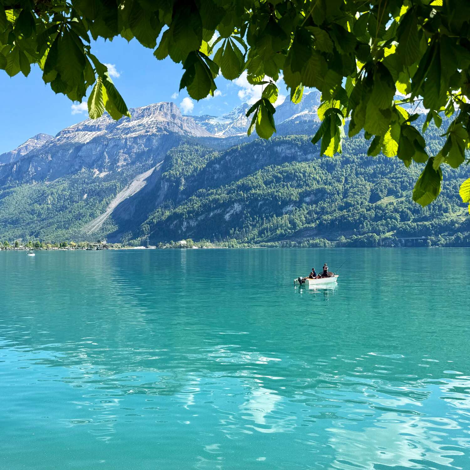 Brienzersee 2026