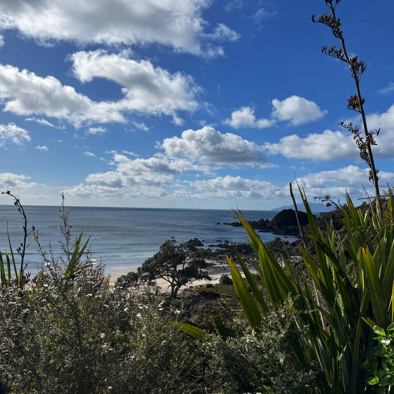 CORE2025 Auckland