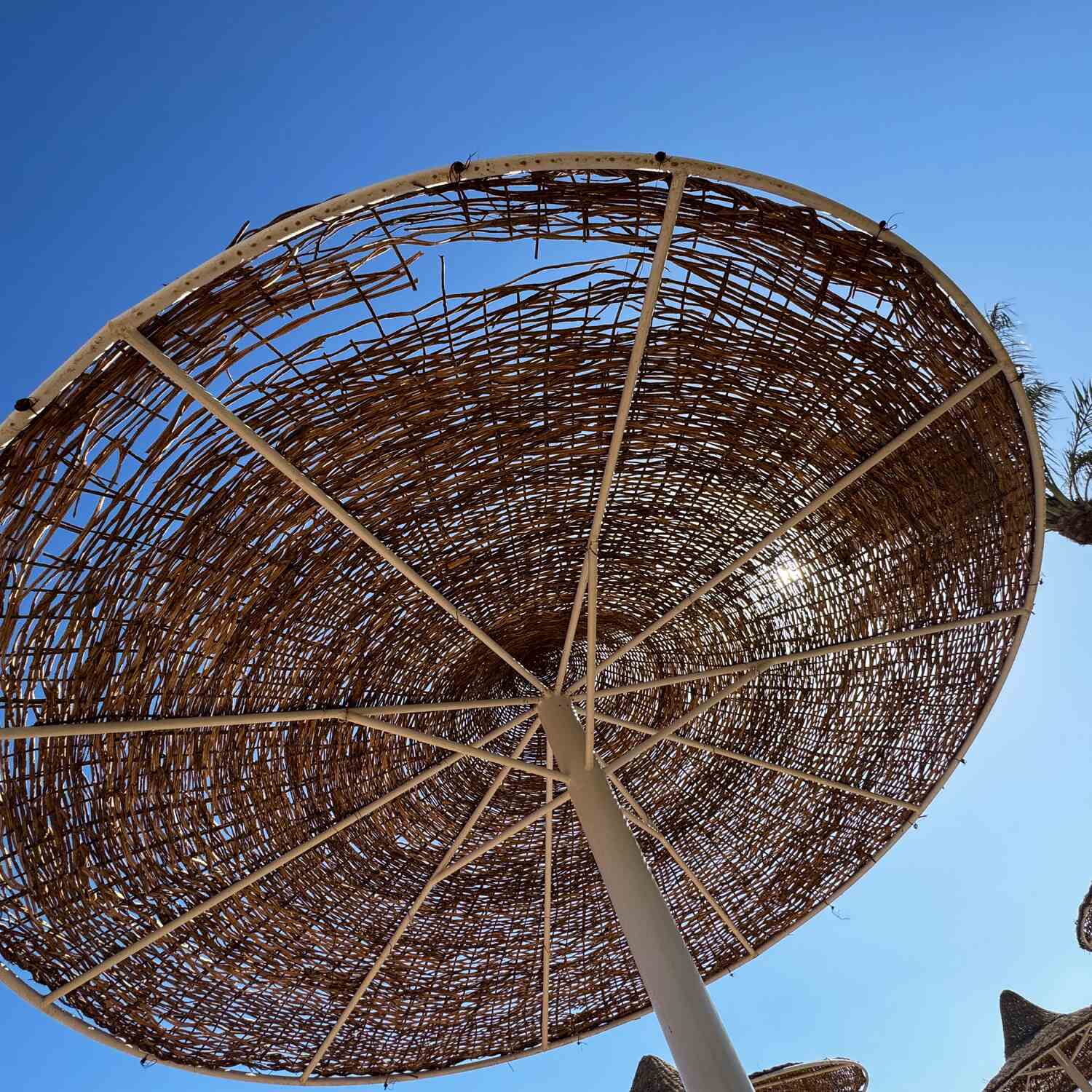 Autumn holidays in Dahab