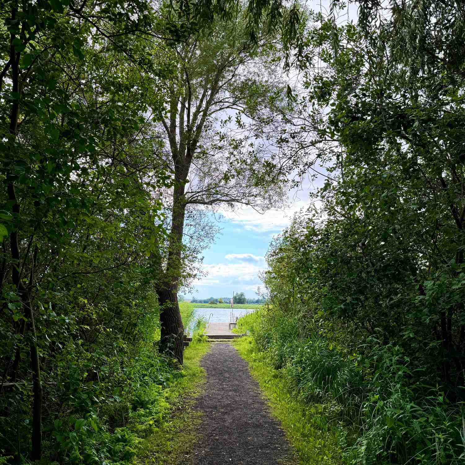 Summer in 2024 - Uckermark