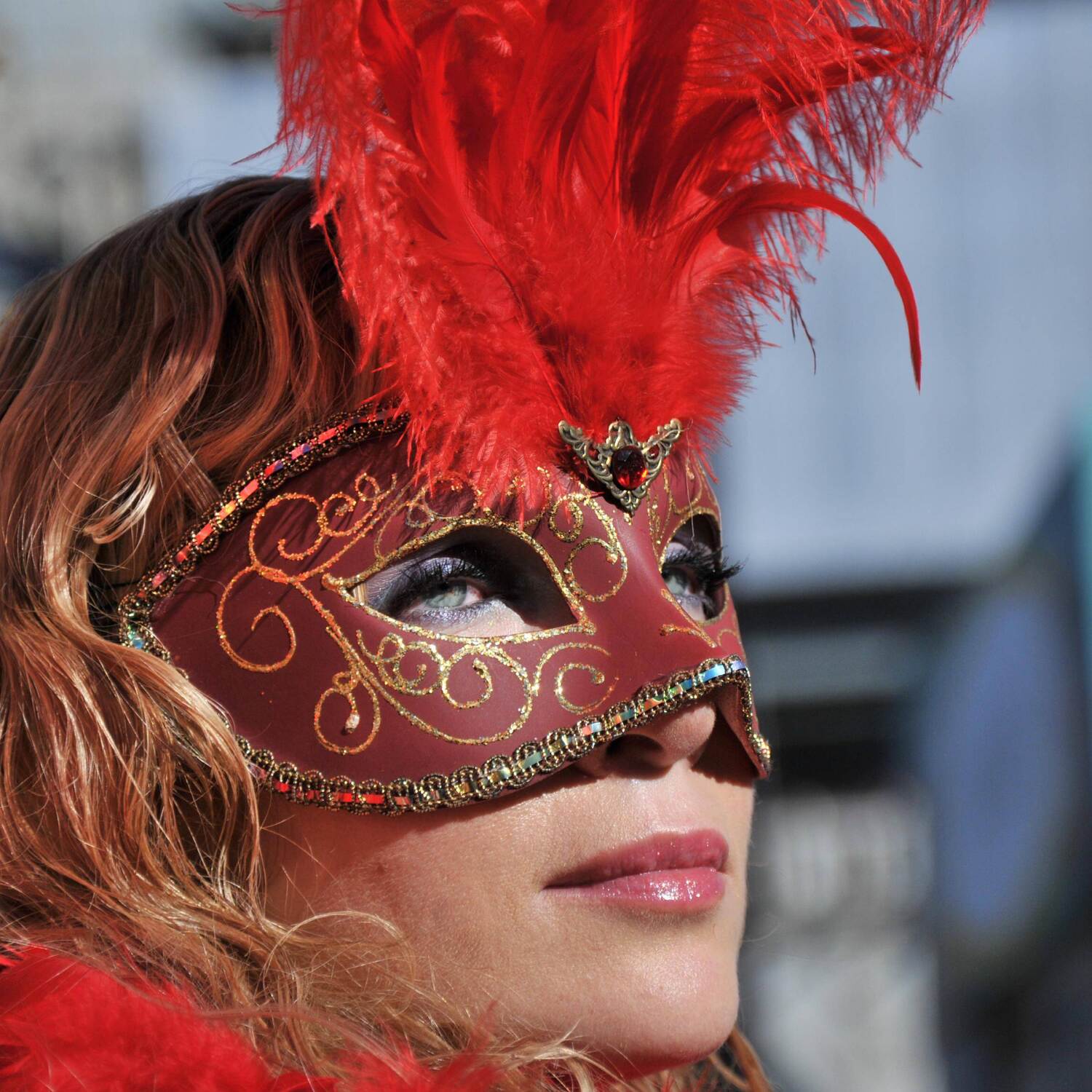 Carnevale di Venezia 2013