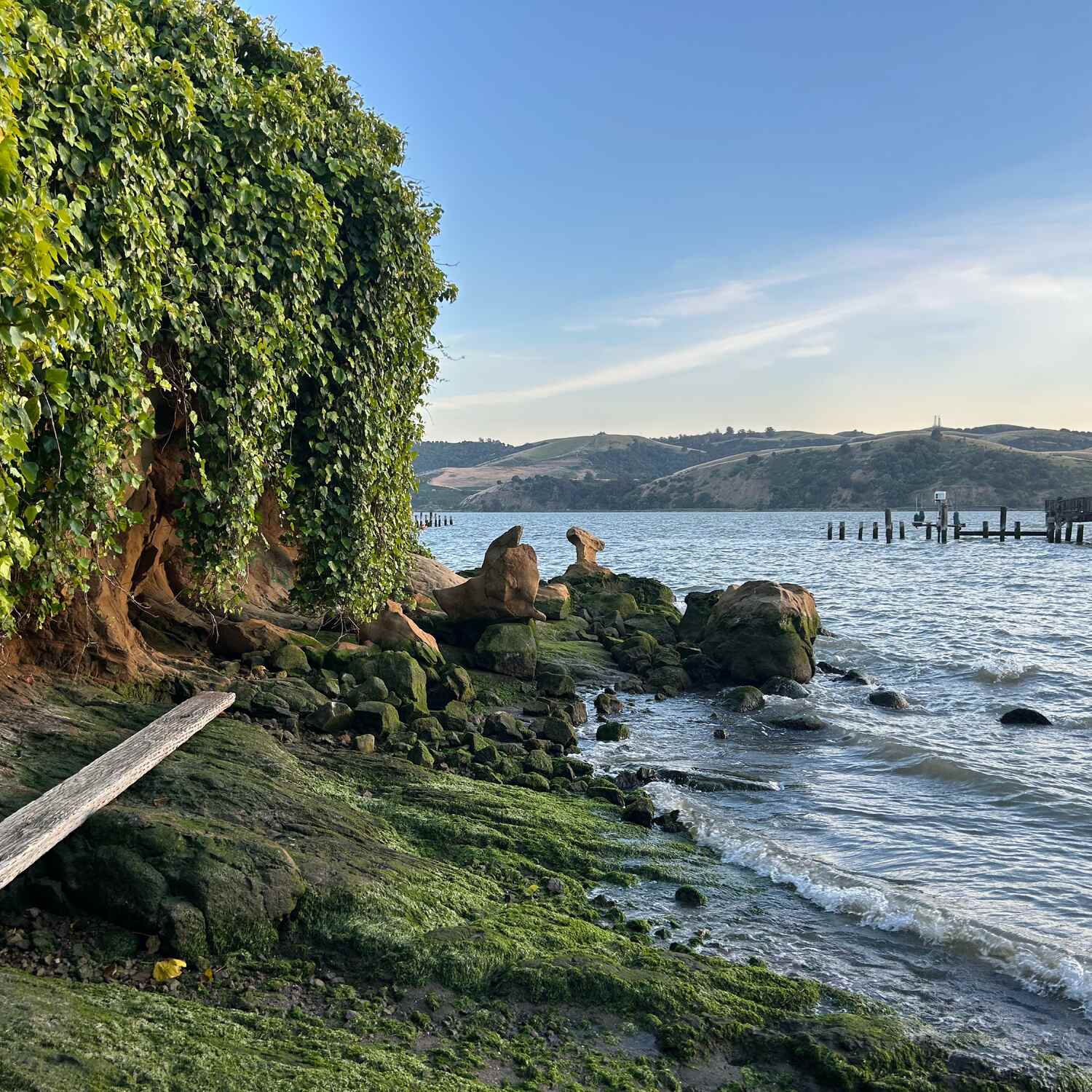 Tammy Walks Benicia