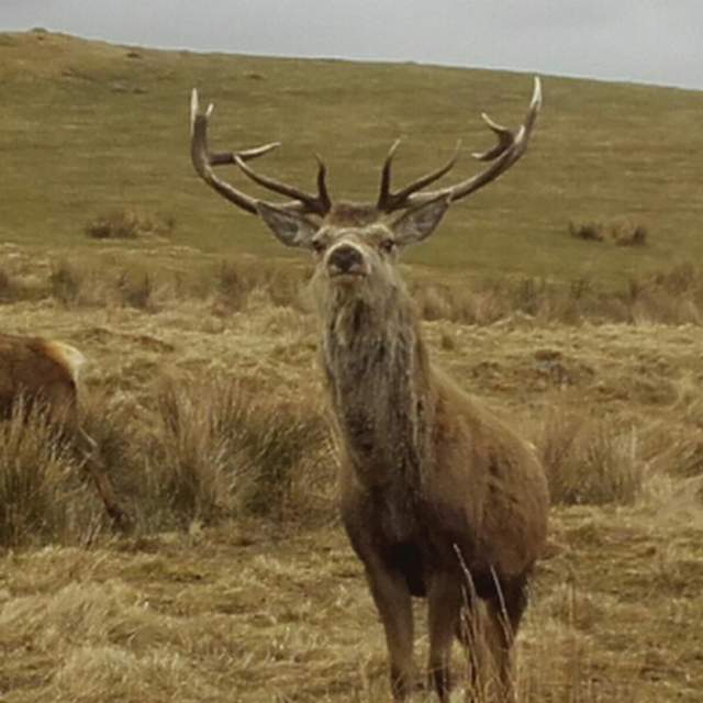 Scotland March 2018