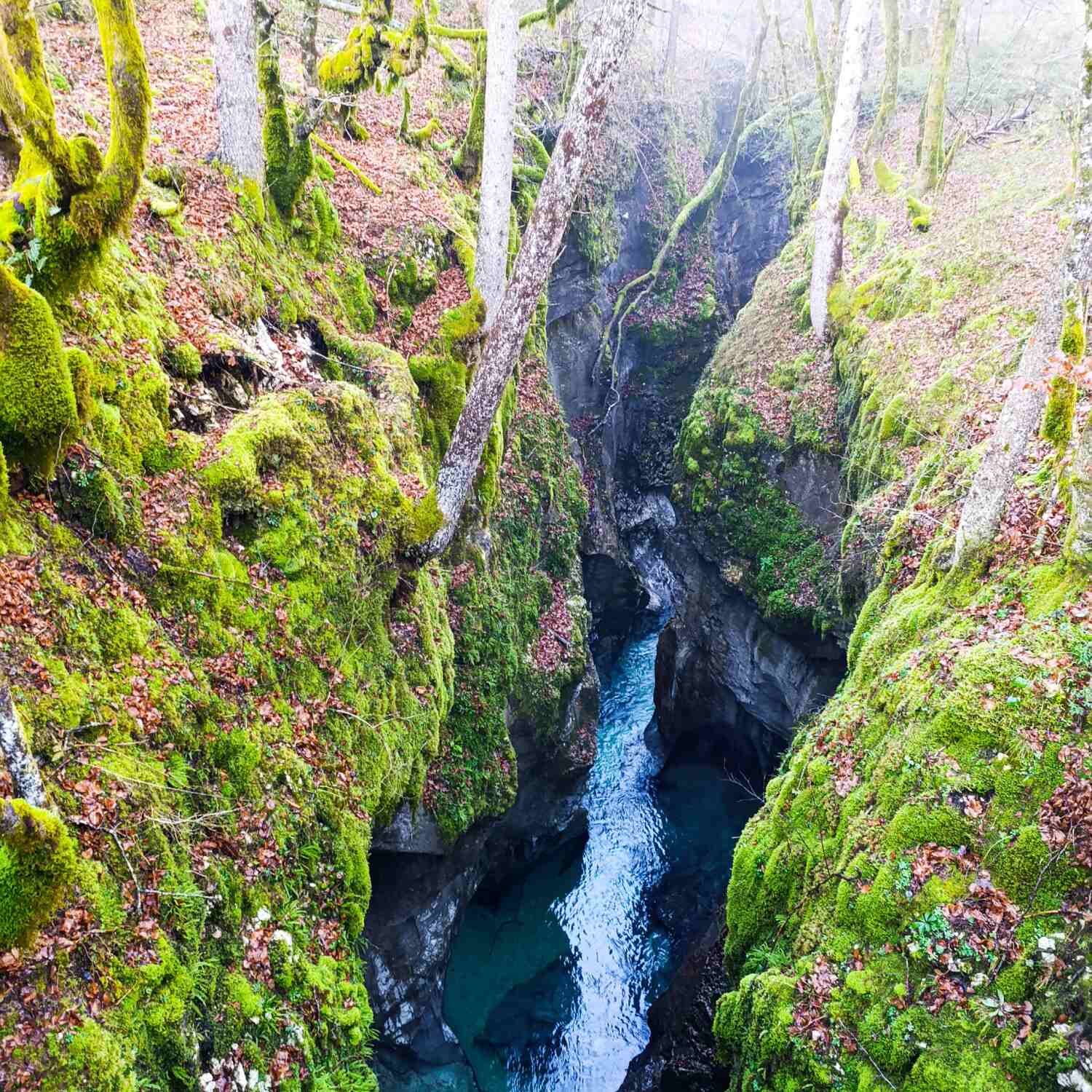 Slovenia