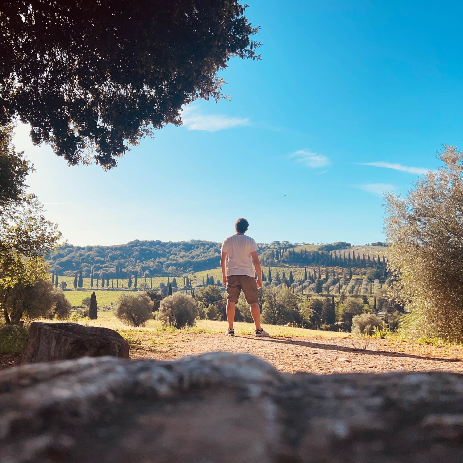 Toscana & Valle D'Orcia