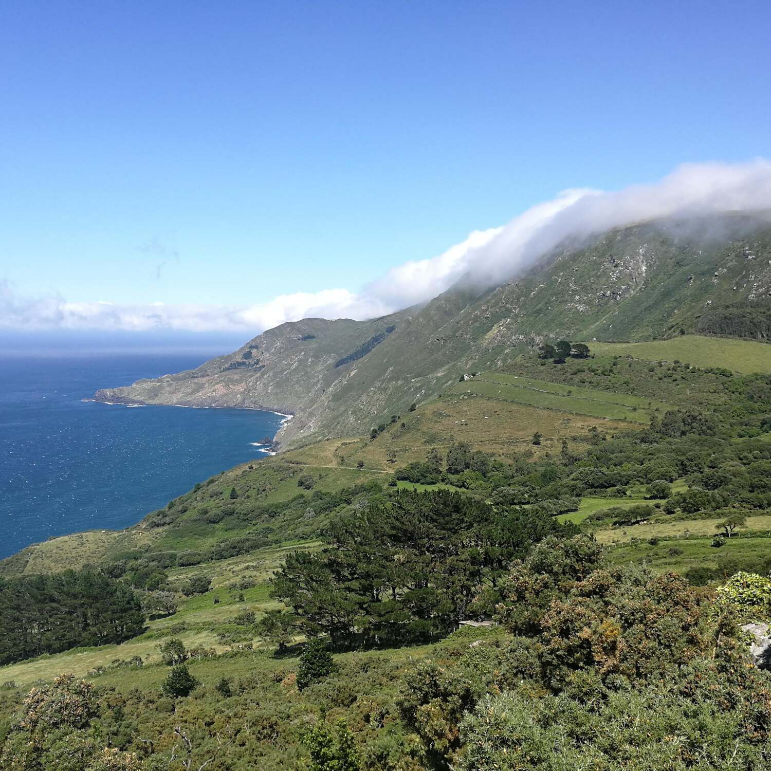 Camino del Norte à velo 2024