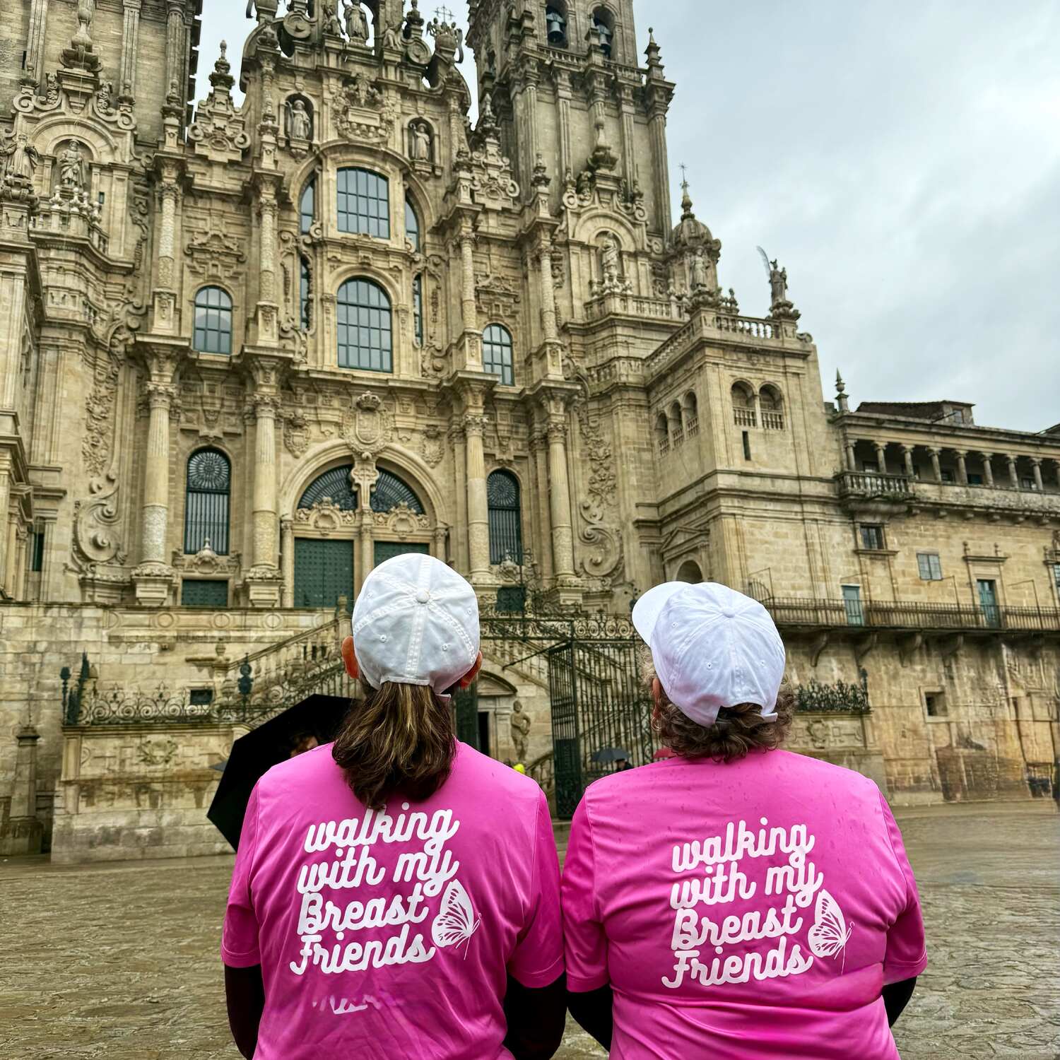 Walking The Camino