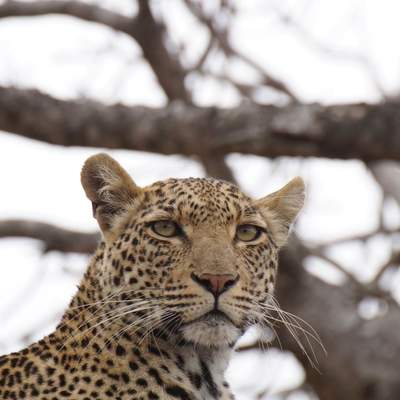 Südafrika September 2015