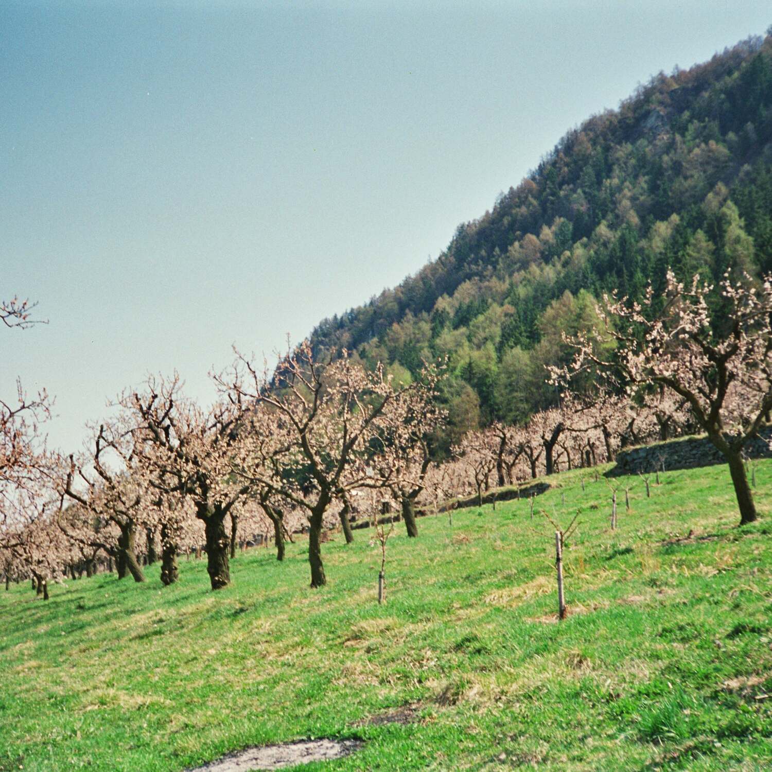 Ostern in Haute-Nendaz