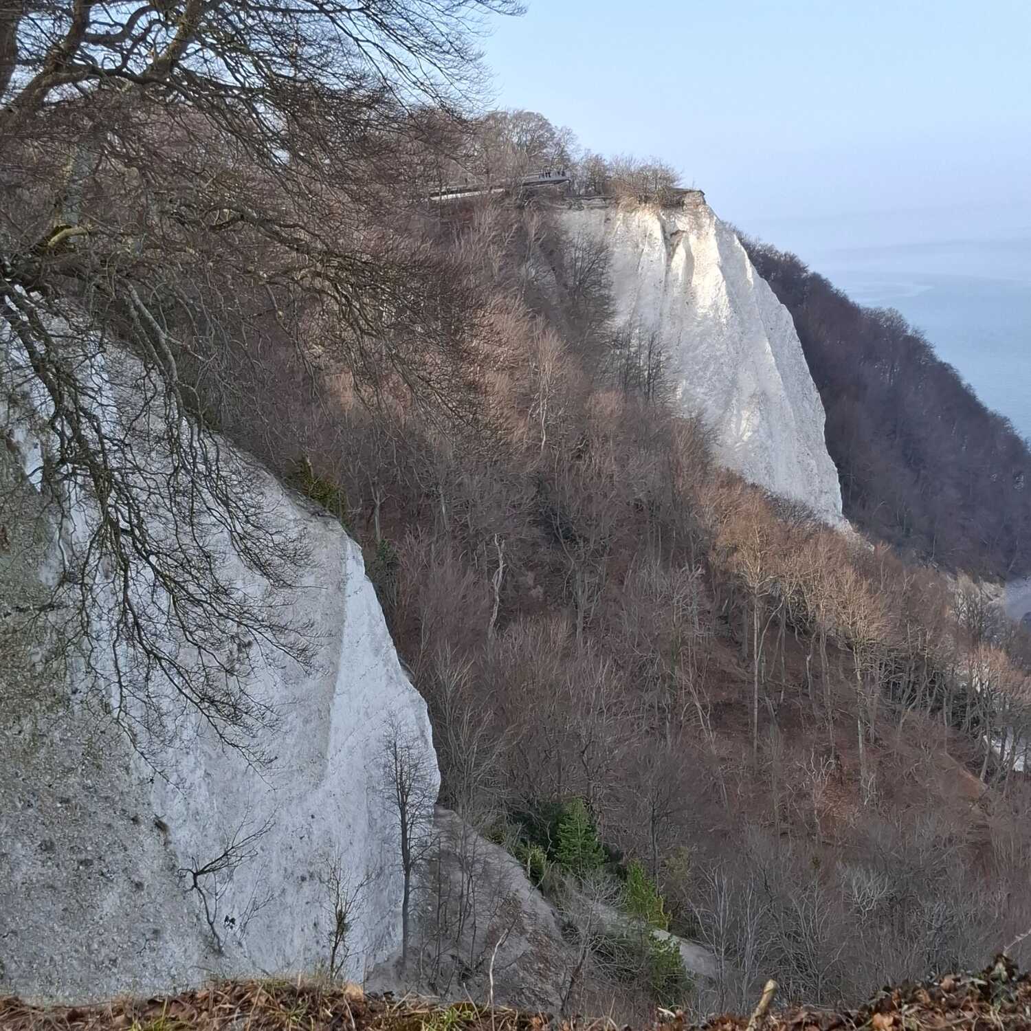 Singelreise Insel Rügen