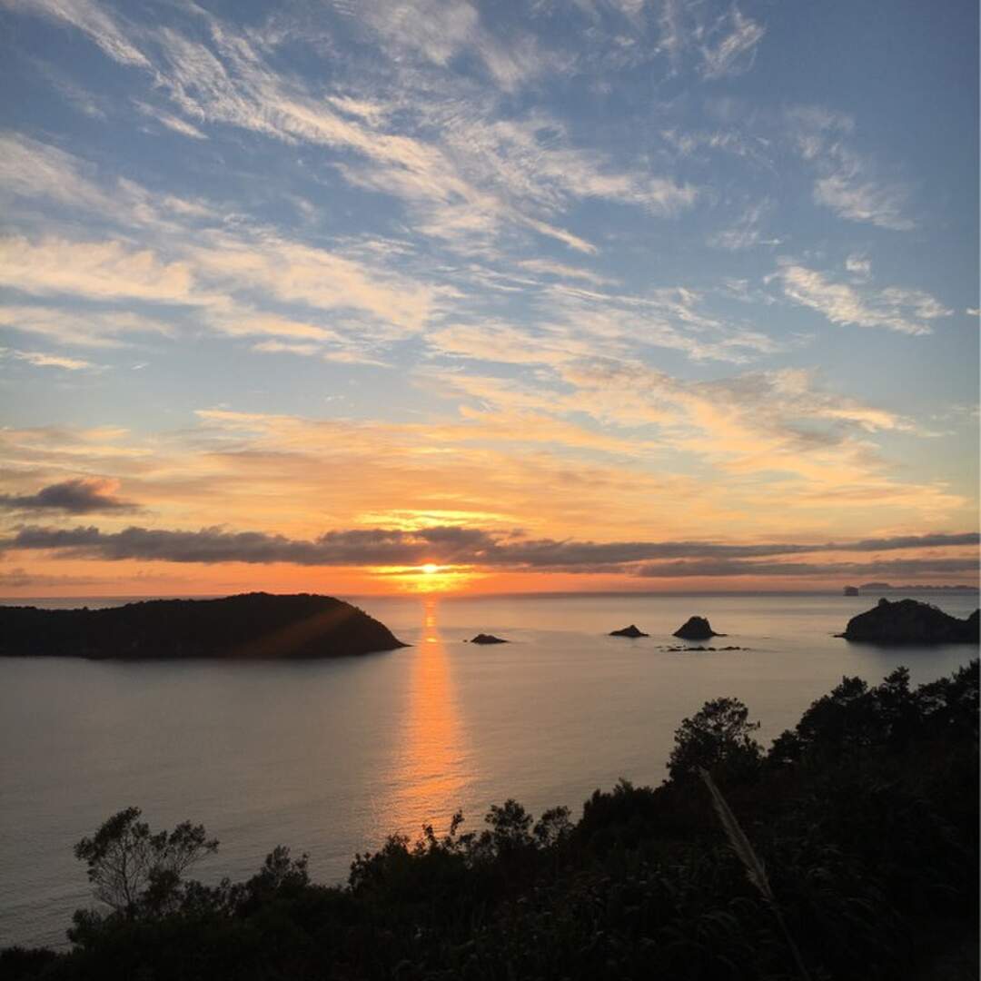 NewZealand
