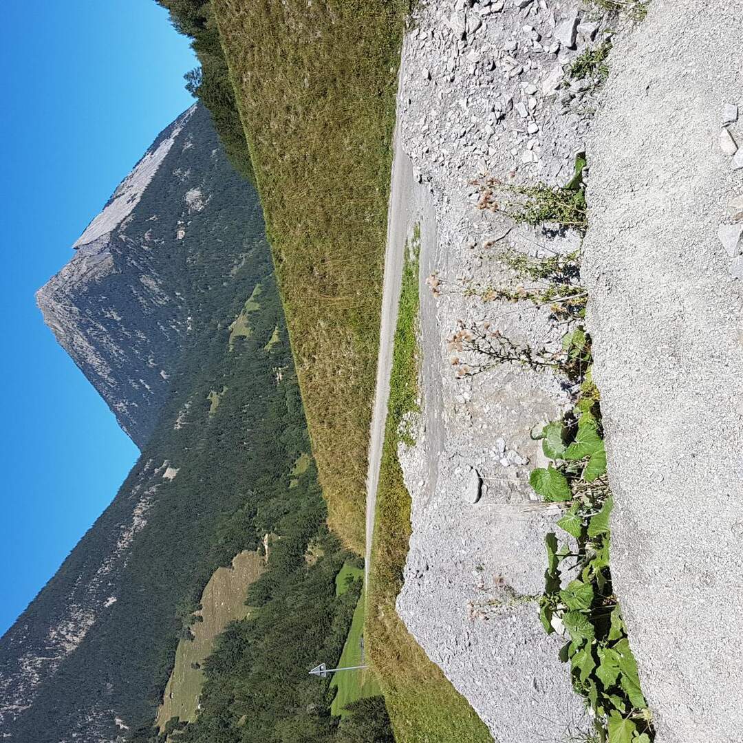TMB19