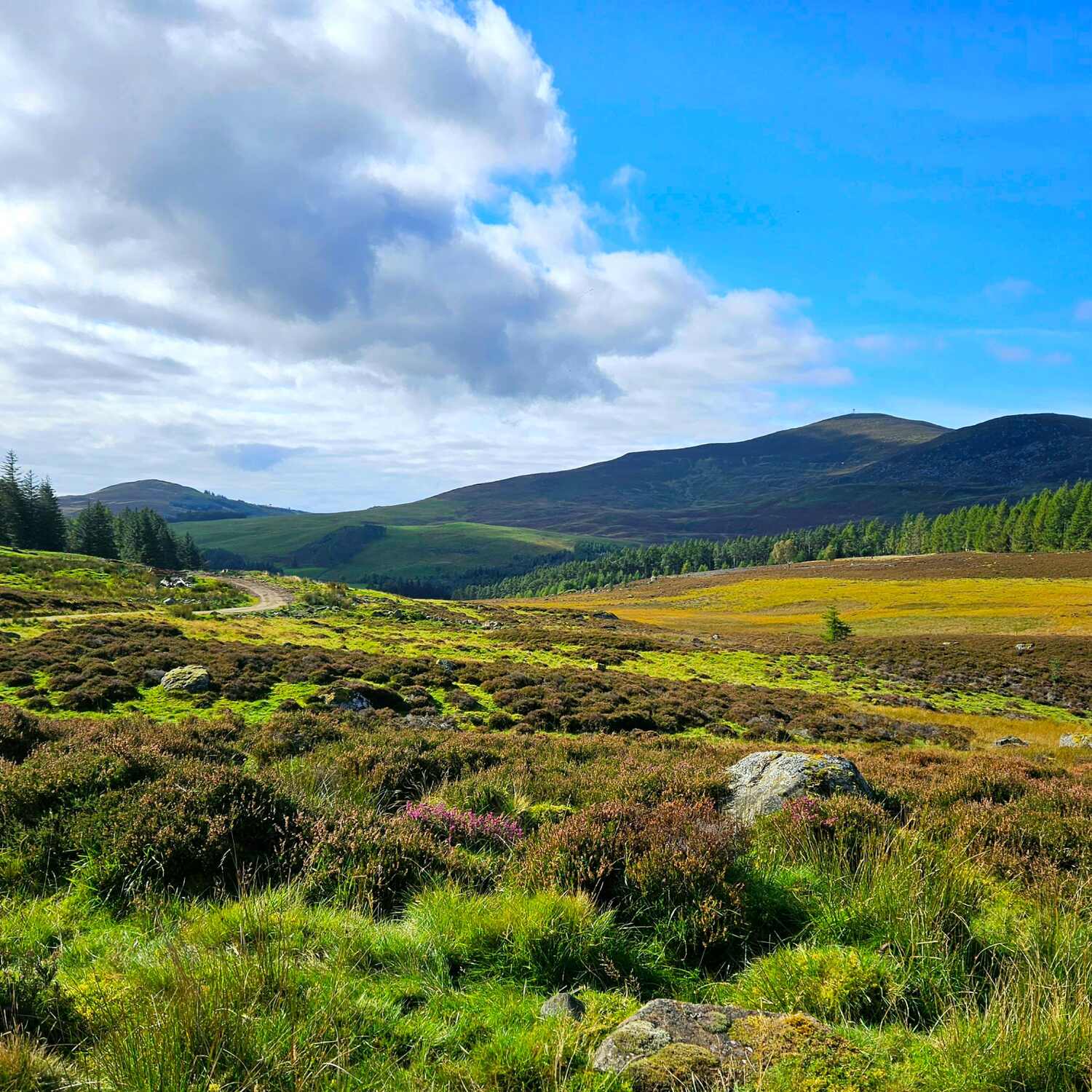 Bonnie Wee Scotland