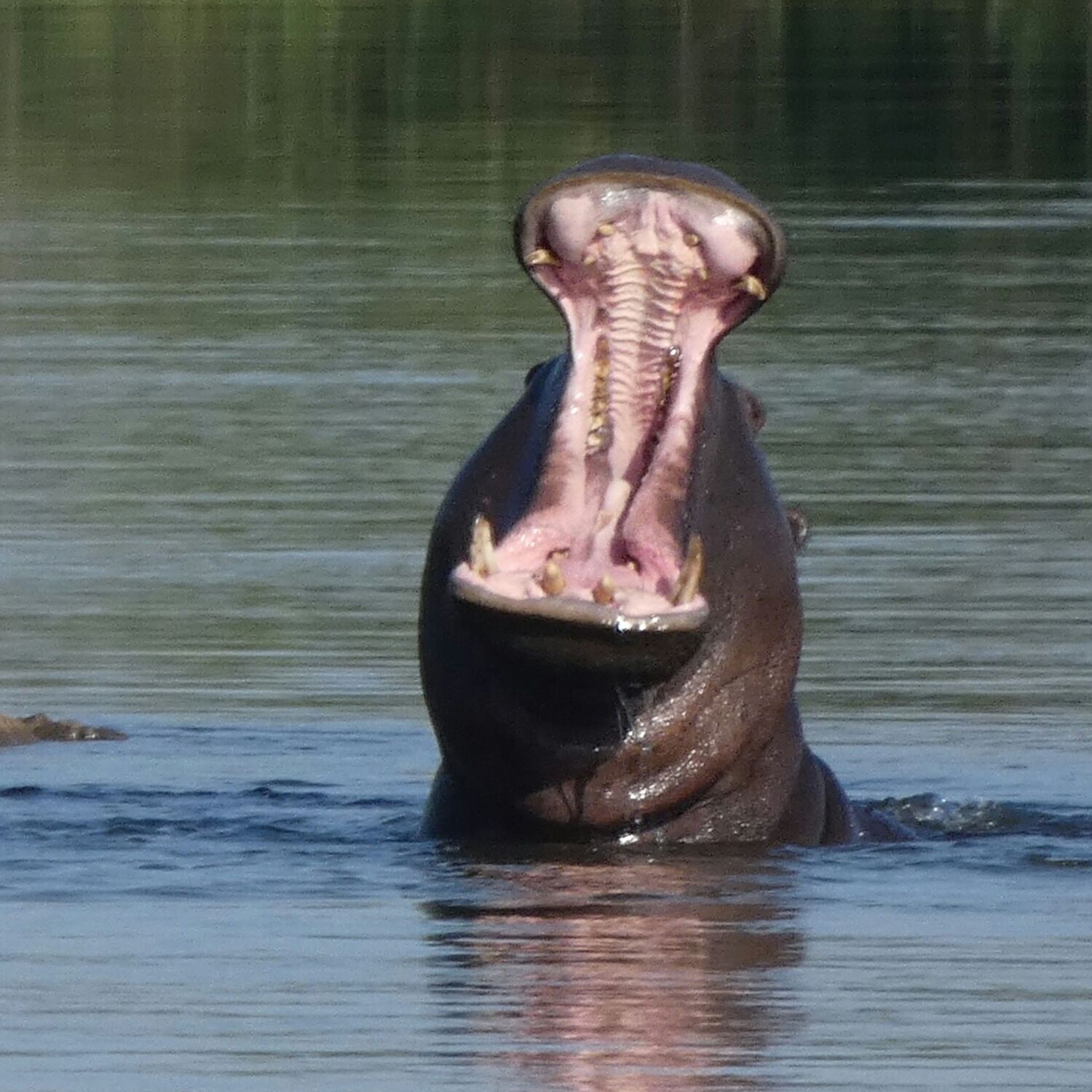 Afrika Nov / Dez 2025