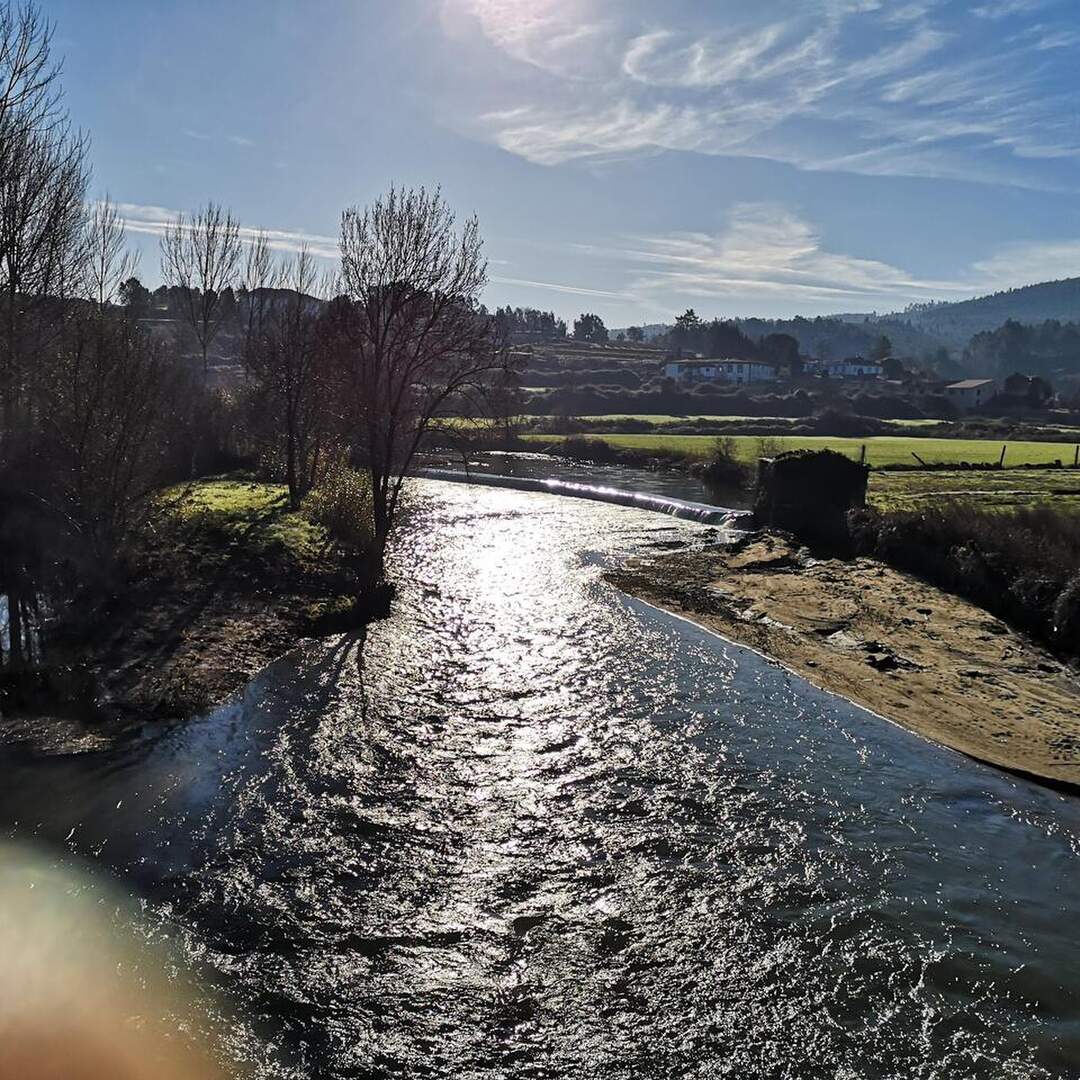 Lagares - Quintandona