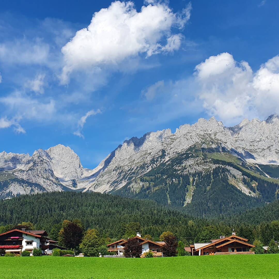 Bergdoktor und Oberhofer